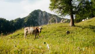 Hiking in Liechtenstein