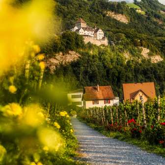View of Vaduz Castle from the wine trail through the vineyards with flowers, vines and houses in Liechtenstein