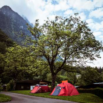 Campsite at Camping Mittagsspitze with red tents under a large tree against a mountain backdrop.