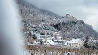 Snow-covered vineyards and houses in Vaduz with a view of Vaduz Castle on a wintry day