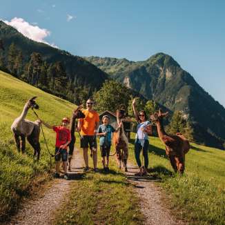 Family shoot with llamas and alpacas in summer Malbun