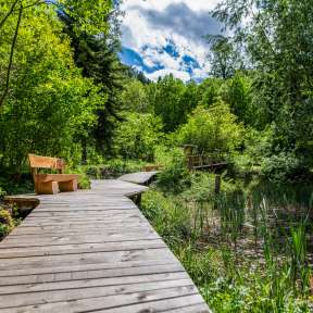 Wooden footbridge with bench leads through green forest and wetland on the nature trail in Schaanwald, Liechtenstein