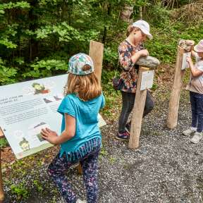 Three children explore interactive information boards on the Wurz und Zirp theme trail in the forest in Liechtenstein