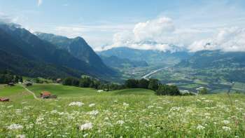 View over a flowering meadow into the Rhine valley with surrounding mountains.
