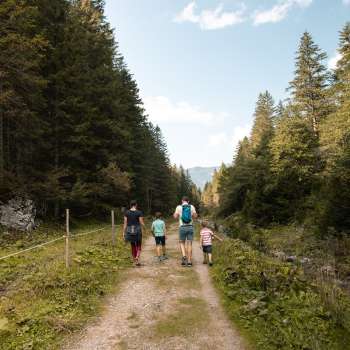 A family walks along a wide nature trail through a section of forest towards Alp Valüna