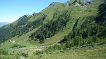Green alpine meadows and wooded slopes around Alp Lawena in Liechtenstein on a clear summer's day, with views of the surrounding mountains.
