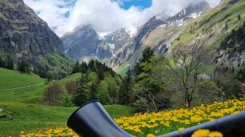 Alphorn in the midst of flowering dandelion meadows in the Alpine valley of Liechtenstein with a view of snow-covered mountain peaks - a traditional musical experience in the Alps.