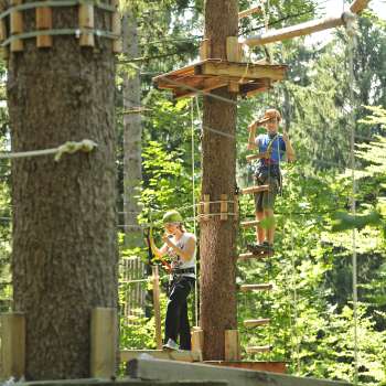 Two people concentrate on a high ropes course between trees