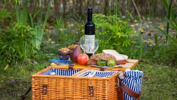 Picnic basket with wine bottle in the forest