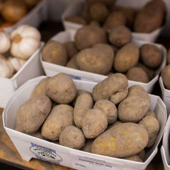 Freshly harvested potatoes from our own production in the Neufeldhof farm store - regional and natural.