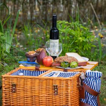 Picnic basket with wine bottle in the forest