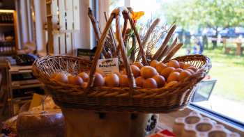 Large wicker basket with fresh free-range eggs in the Bangshof farm store - regional quality direct from the farm.