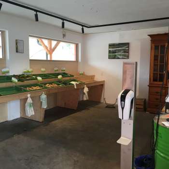 Self-service area of the Birkahoflädile with empty sales tables and green cash register - sustainable farm sales in Liechtenstein.