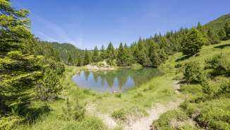 "Sassseeli" in Malbun - a quiet retreat surrounded by fir trees