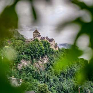 Vaduz Castle sits enthroned on a hill above the city, surrounded by forest - photographed through the blur of green leaves in the foreground.