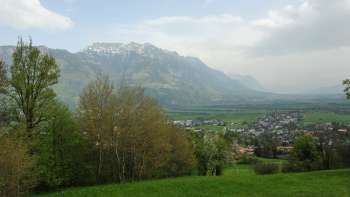 View from the Eschnerberg over the Rhine Valley with lush green meadows, spring trees and the imposing Alpine panorama in Liechtenstein - enjoy nature and the view in the Unterland (lowlands).