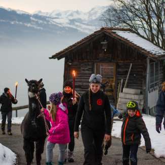 Family-friendly llama trekking in the snow in Liechtenstein with torches and a view of the mountains - a special outdoor fondue experience.