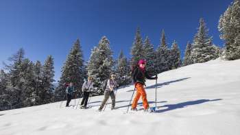 Group of snowshoe hikers on a trial course in a snowy winter landscape under a blue sky in Malbun.
