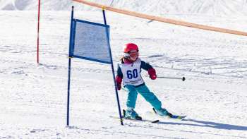 A small child with a starting number skis through the gates of the children's ski race in Malbi Park with concentration