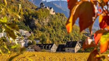 View of Vaduz Castle in an autumnal atmosphere