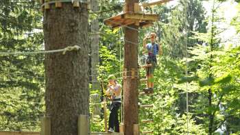 Two people concentrate on a high ropes course between trees