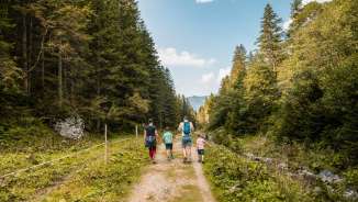 Family hiking on a nature trail through the green Valüna valley in Liechtenstein, surrounded by forest and mountains in the sunshine
