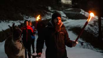 People with torches trekking with llamas and alpacas on a snowy path in the dark