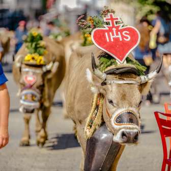 Cow with heart ornament and wreath of flowers at the traditional alpine ride in Liechtenstein