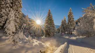 Snow-covered winter landscape in Steg in Liechtenstein with sunshine, cross-country ski trails and snow-covered trees.