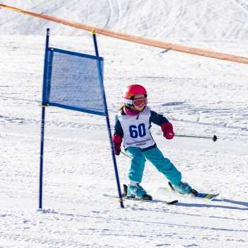 A small child with a starting number skis through the gates of the children's ski race in Malbi Park with concentration