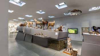 Liechtenstein NationalMuseum