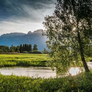 Atmospheric evening light over the Ruggell Wetland with the course of the river, trees and a view of the mountains in the background.