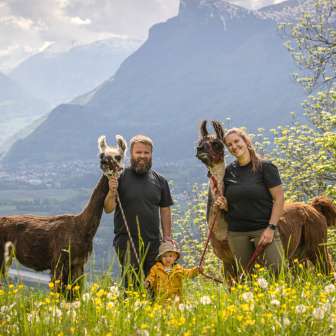 Family with child and two llamas against an impressive Alpine backdrop during a llama and alpaca hike in Liechtenstein.