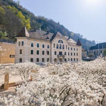 Government building in Vaduz with white flowers in the foreground in bright sunshine
