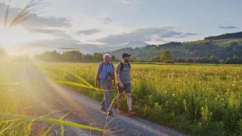 Hike with Marco Büchel on the Liechtenstein Trail with a view of idyllic meadows.