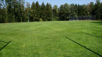 Schellenberg sports field