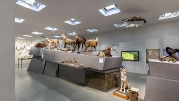  Natural History Exhibition at the Liechtenstein National Museum