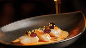 Artfully prepared dish on a black plate Artfully prepared dish on a black plate