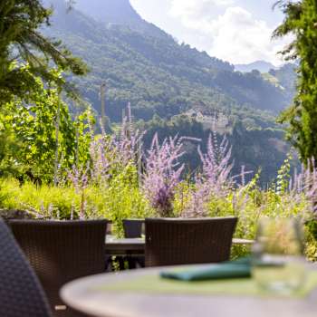 View of Vaduz Castle