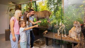 A family views the natural history exhibit at the Liechtenstein National Museum