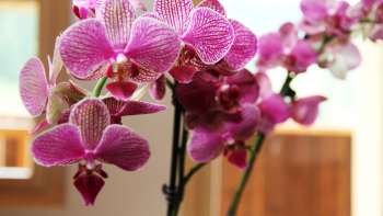 Living space holiday home Beck Bärgtälli