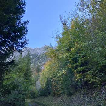 The ruins of Schalun Castle near Vaduz in Liechtenstein, impressively situated on a rocky outcrop with a view of the Alps.
