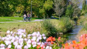Cyclists enjoy the sunny weather along the flower-lined banks of the Haberfeld Nature Park.