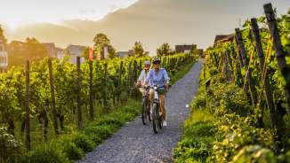 Two cyclists in the Liechtenstein vineyards at sunset - e-bike tour with views of the Alps and vines