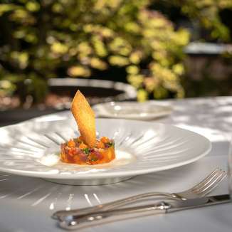 Finely plated starter on a white designer plate on the terrace of the Park Hotel Sonnenhof in Vaduz, Liechtenstein