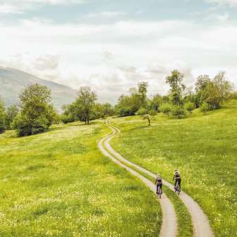 Two gravel bikers on a winding path through flowering meadows with a panoramic view of the Alps in Liechtenstein - cycling in untouched nature