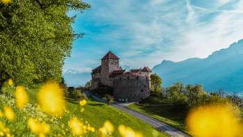 Vaduz Castle with yellow flowers in the foreground on a sunny spring day Vaduz Castle with yellow flowers in the foreground on a sunny spring day
