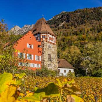 The Red House in Vaduz, surrounded by autumnal grapevines on the hillside