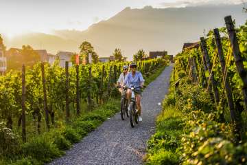 Two cyclists in the Liechtenstein vineyards at sunset - e-bike tour with views of the Alps and vines