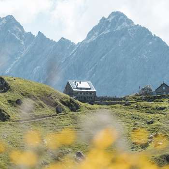 Pfälzer hut with mountain scenery in the background and flowers in the foreground.